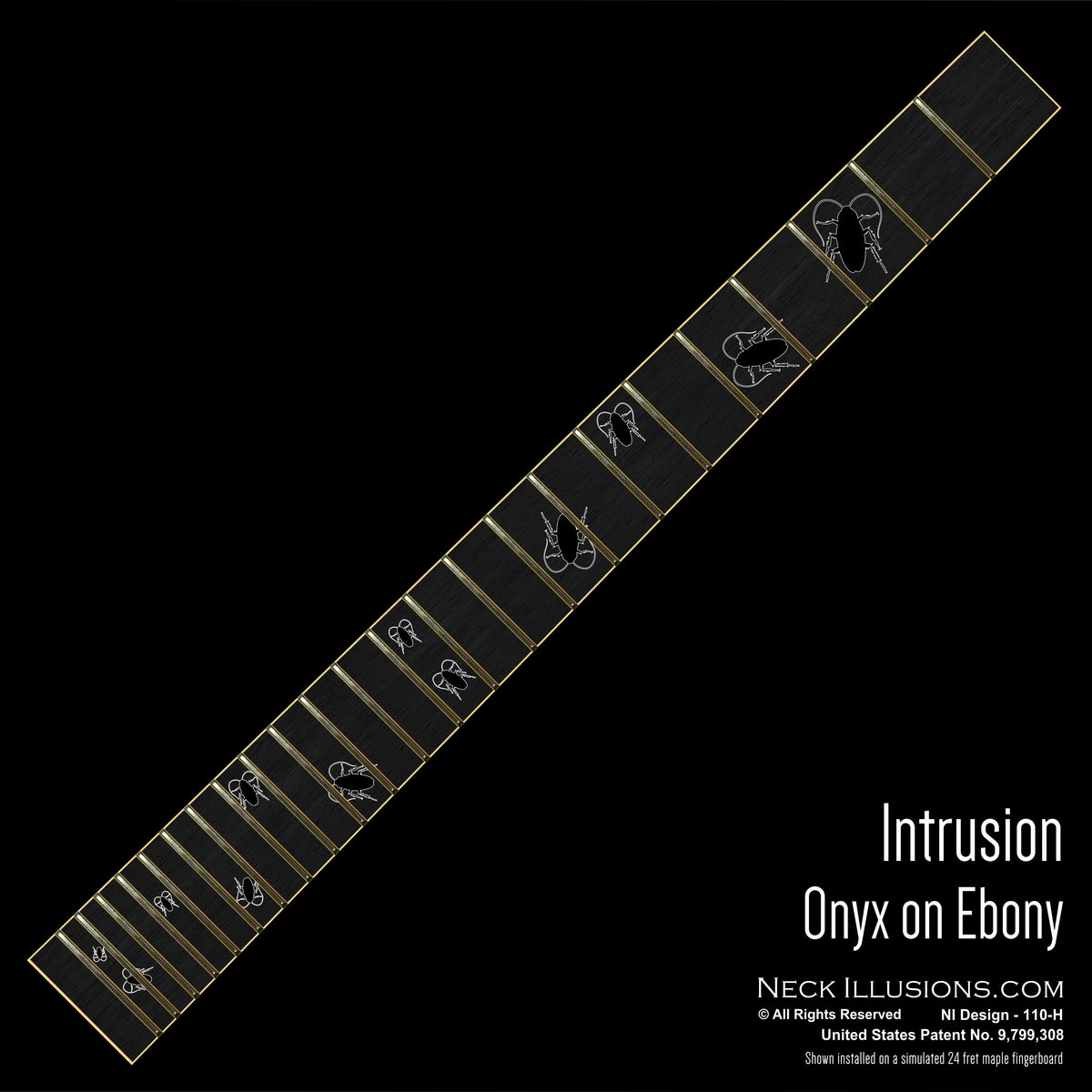 Intrusion