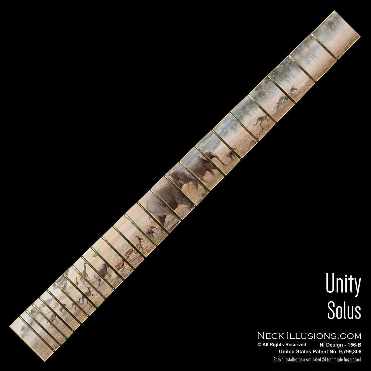 Unity