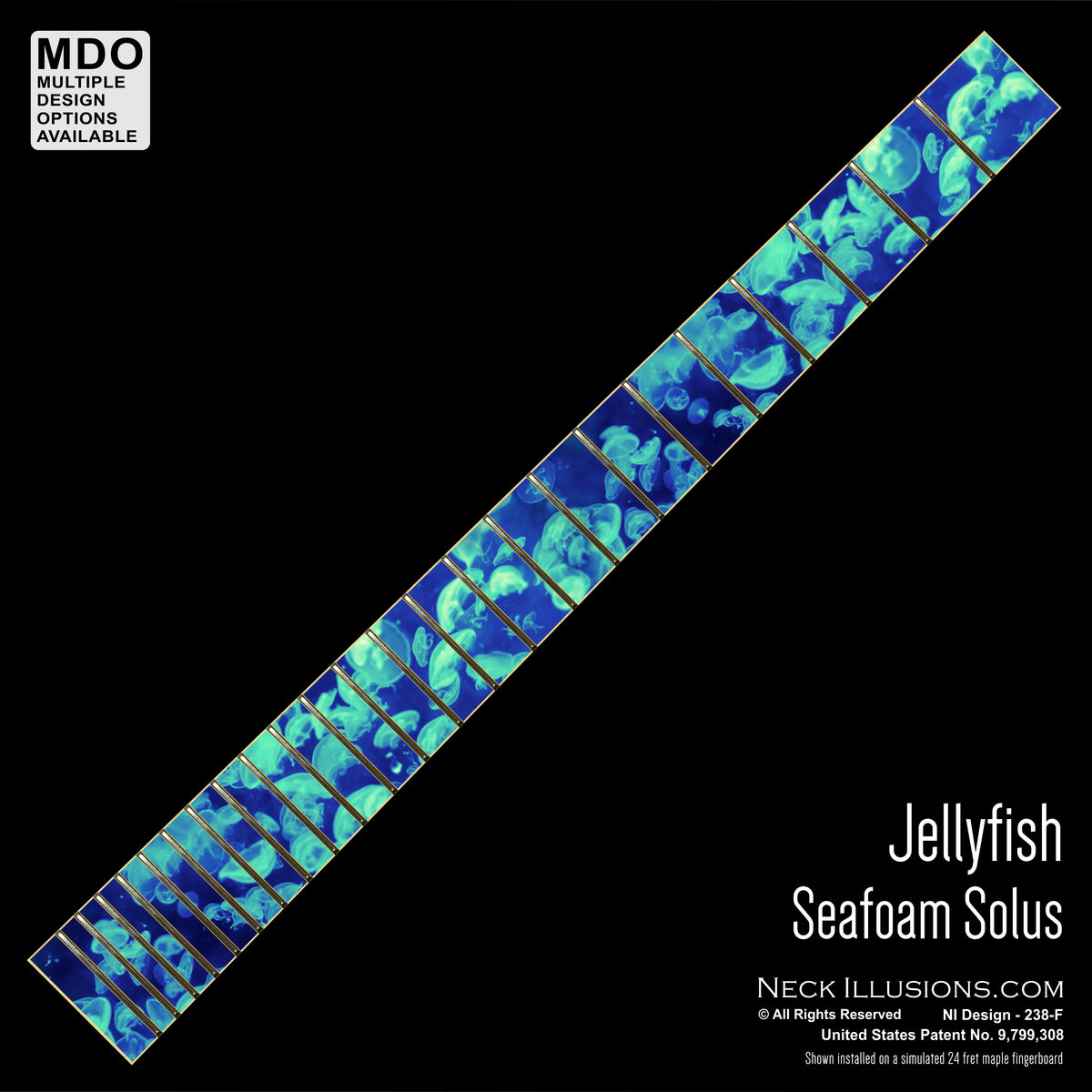 Jellyfish