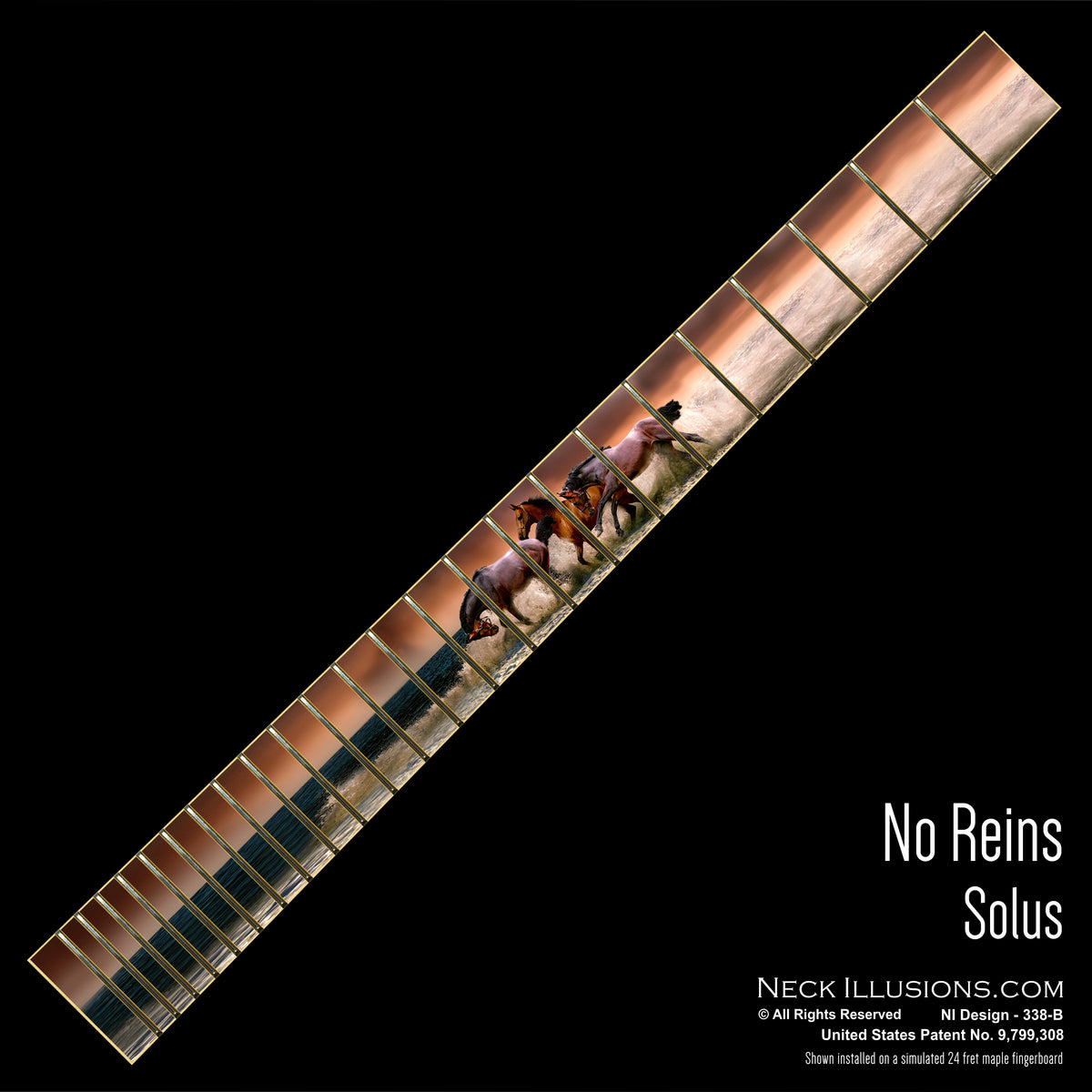 No Reins