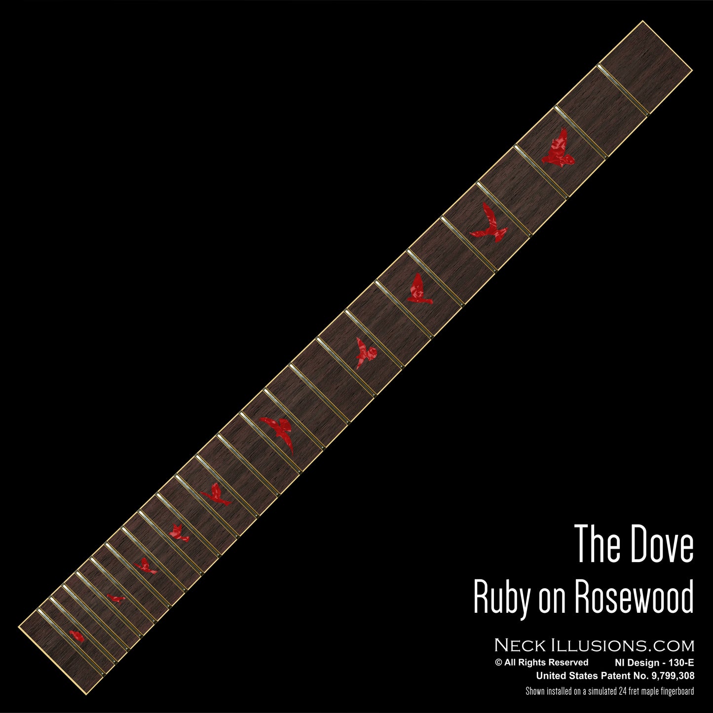 The Dove