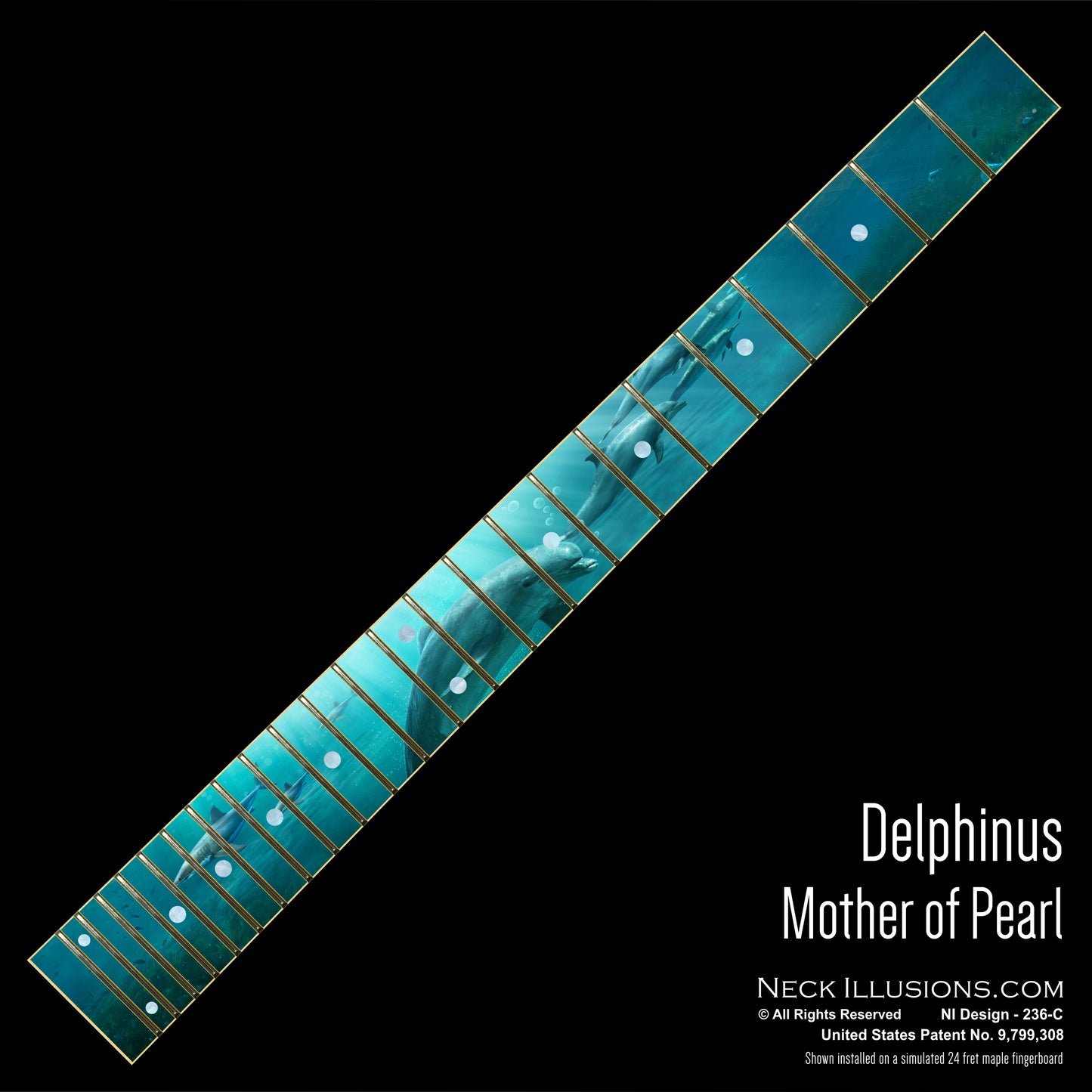 Delphinus