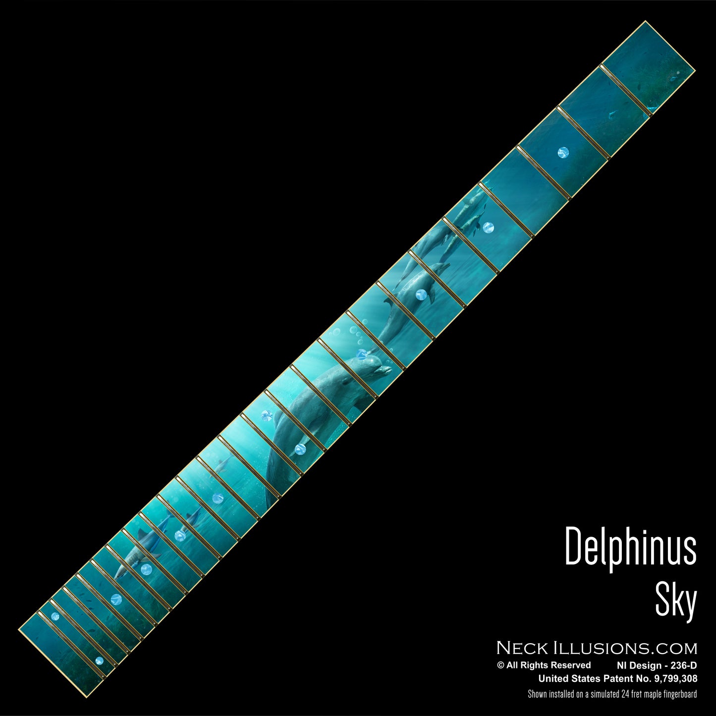 Delphinus