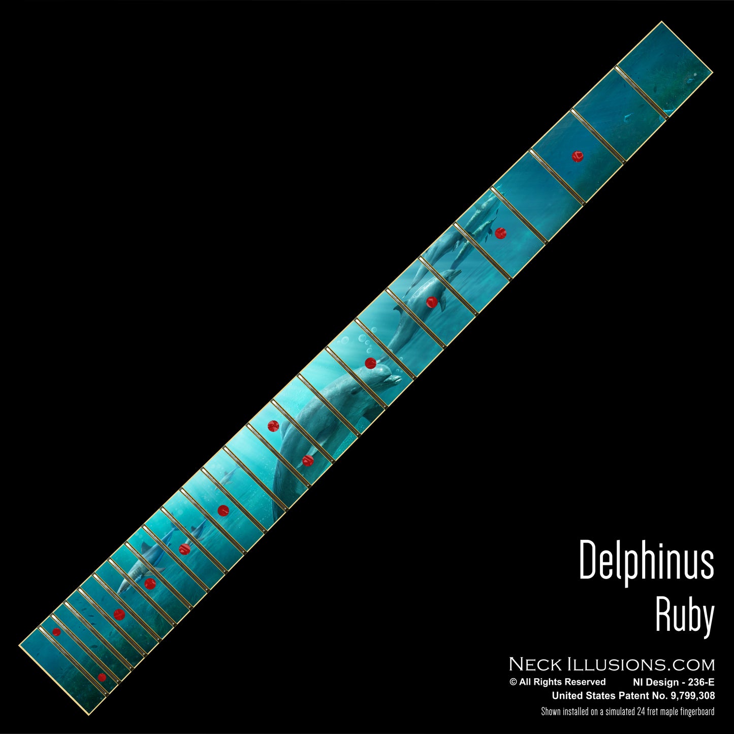 Delphinus