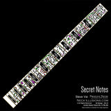 Steve Vai - Secret Notes